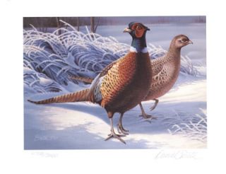 1983 Minnesota Pheasant Habitat Stamp Print by artist Daniel Smith