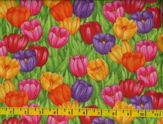  Treasures Bright Tulips by Debi Hron Cotton Fabric Quilting