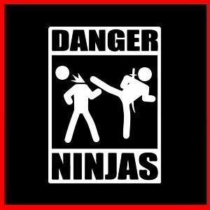 Danger Ninjas Funny Samurai Karate Kanji Zen T Shirt