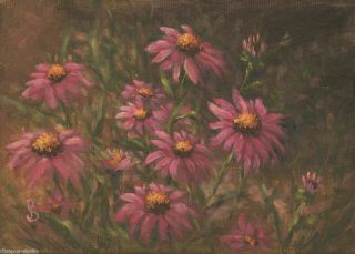 Sepos Daily Painting A Day Coneflower Family Echinacea Perennial