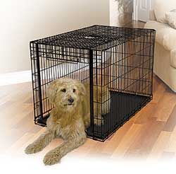 NEW 49 Ovation Dog Crate Cage With Up & Away Door Plus Divider