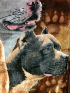 Pitbulls Pitt Pit Dogs Blanket Puppies Adopt Breed Red Nose Blue Grey