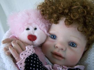  Doll Kitten by Donna RuBert  Briar Hill Nursery