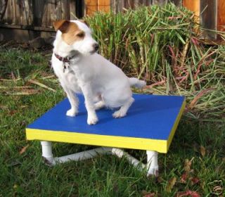  Dog Agility Equipment Mini Pause Table