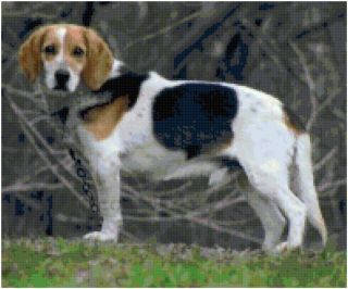 Beagle Dog Counted Cross Stitch Pattern Chart Design