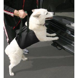 large and older dogs need a boost up to reach the higher interiors of