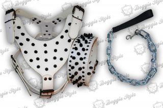 Dog Harness Collar Leash White Leather Combo Spikes Rottweiler Bully