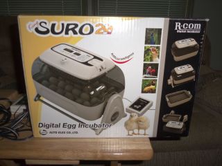  R com King Suro 20 Digital Incubator