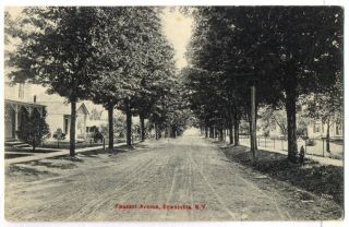 Downsville NY Pleasant Avenue Postcard
