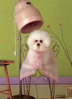  Dog Grooming Professional Course at Home DVD
