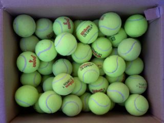 120 Used Tennis Balls L K Practice or Dog Toys