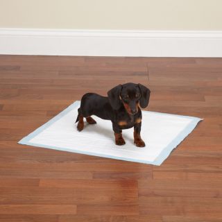 Clean Go Pet Value 400 Ct Puppy Pads Wee Wee Dog Training Pads