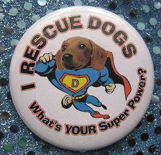 Rescue Dogs Superhero Dachshund Pin Badge Button