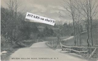  C 1935 Downsville NY Wilson Hollow Road Postcard