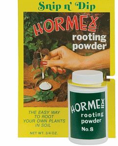 Hormex Rooting Powder No 8 3 4 oz Packet Root Growth Hormone Stimulant