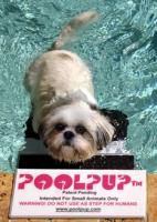 Small Pool Pup Pet Dog Stair Swimming Pool Ramp Step