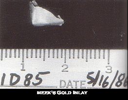 Glyde Earl Meek Death in 10 000 Fragments Original FBI Wanted Poster
