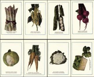 vegetable manual, prepared with a view to economy and profit