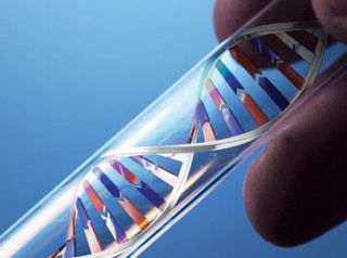  Course Understanding Genetics on CDs DNA Genes Scripps Prof