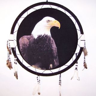 War Shields Eagle Head Dream Catcher Eagles Wall Art Medallion Home