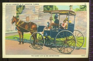 St Augustine Florida Horse Carriage Vintage Postcard