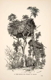  Engraving Tree House Native Women Koiari New Guinea Edward Whymper