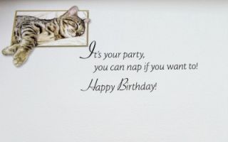 Birthday Greeting Card Cat Bengal Baby by Sueellen Ross