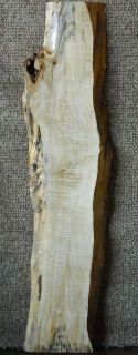 Box Elder Live Edge Lumber Slab Blue Spalted Highly Figured Craftwood