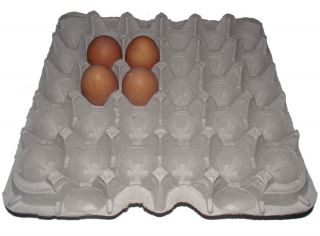 12 Chicken Egg Cartons Paper Trays Flats Hatching Craft