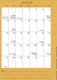 Date Book 2013 Imagine Dayplanner Calendar 2013 Brush Dance New