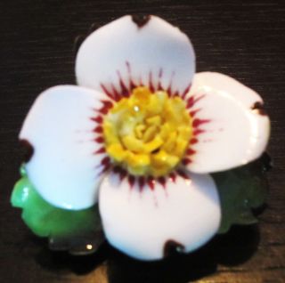 Vintage Enamel Pansy Flower Staffordshire Cara China Brooch, Mint