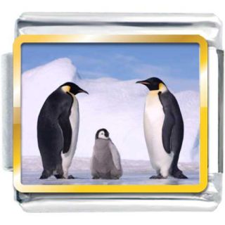  Italian Charm Gold Tone Animal Penguin Antarctica Bracelets Y22