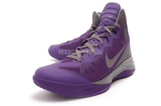 Nike Zoom Hyperenforcer PE [487655 500] Basketball Club Purple/Silver