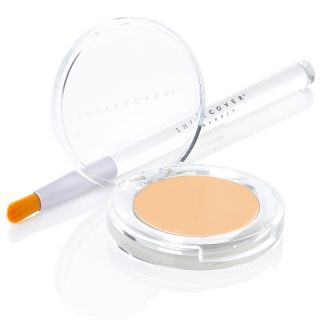 Sheer Cover Super Size Concealer and Brush Set By Leeza Gibbons