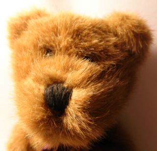 Bean and Associates 14 Jointed Plush Teddy Bear So Soft