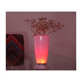  gamasonic atmosphere color changing vase rating 3 $ 32 68 s h $ 6 95