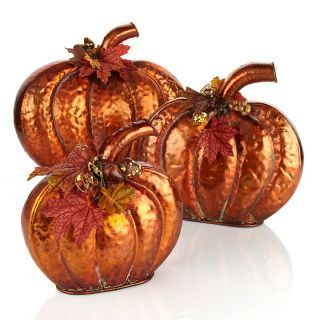 Copper Colored Pumpkins with Floral Accents   Set of 3 at