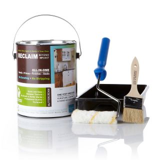 RECLAIM Beyond Paint One Gallon 3 in 1 Refinisher
