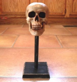 Skull Mask Stand for Freddy Myers Don Post Zombie All Latex Masks
