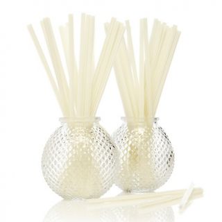 Joy Mangano Forever Fragrant Glass Vase Set with Sticks