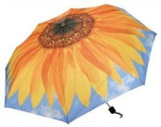 harold feinstein sunflower umbrella