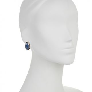 Jay King Denim Lapis Copper and Sterling Silver Earrings at