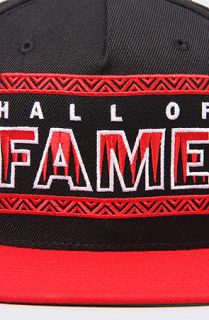 Hall Of Fame The Boarders Snapback Concrete