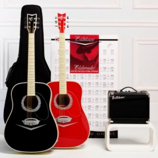 Esteban El Dorado Acoustic Electric Guitar Amp DVDs