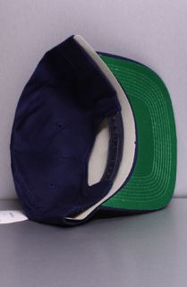 Vintage Deadstock Minnesota Twins Snapback Hat