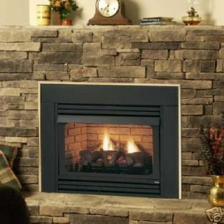  Ventless Propane or Natural Gas Fireplace Insert Vent Free Logs