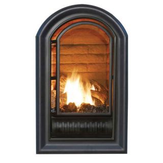   Fireplace Procom Vent Free Propane Natural Gas Log Fireplace Insert