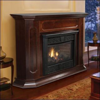 Vent Free Gas Fireplaces Ventless Propane Natural Gas w Fireplace