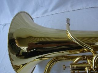 in euphoniums and i see why the besson 968s is a very beautiful