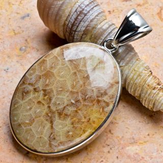 type pendant stone type s coral fossil gemstone quantity each